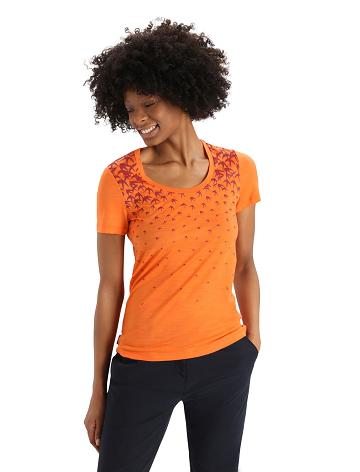 Women's Icebreaker Merino Tech Lite II Short Sleeve Scoop Migration T Shirts Flash | CA 1357AHKP